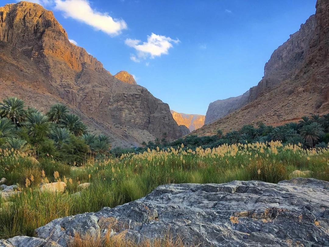 Wadi Al Arbeieen Resort Firq Exterior photo