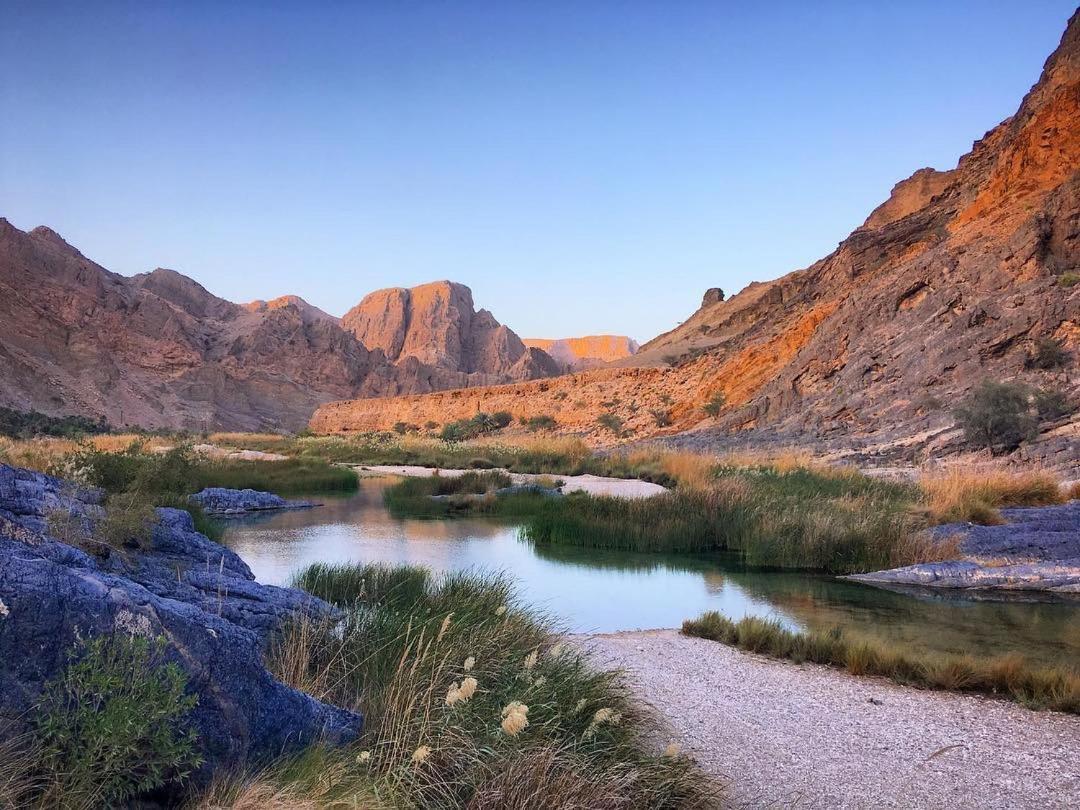 Wadi Al Arbeieen Resort Firq Exterior photo