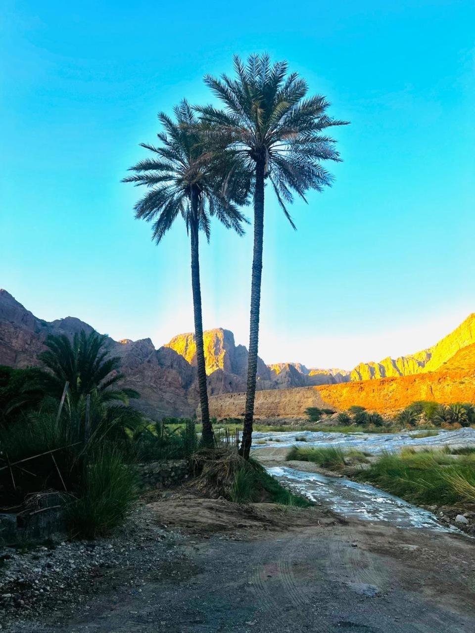 Wadi Al Arbeieen Resort Firq Exterior photo